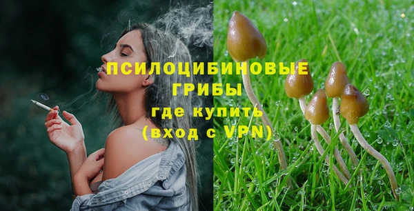 мескалин Гусь-Хрустальный