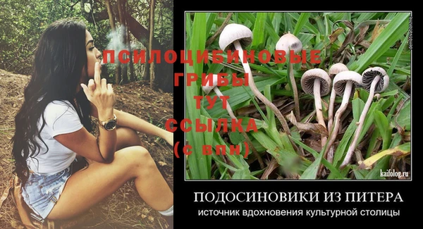 мескалин Гусь-Хрустальный