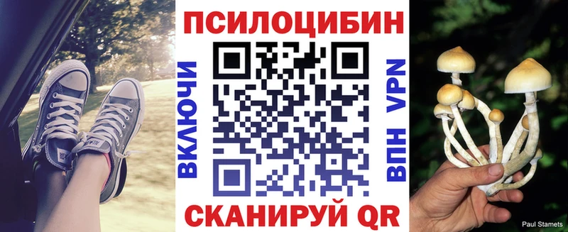Псилоцибиновые грибы прущие грибы  Мосальск 