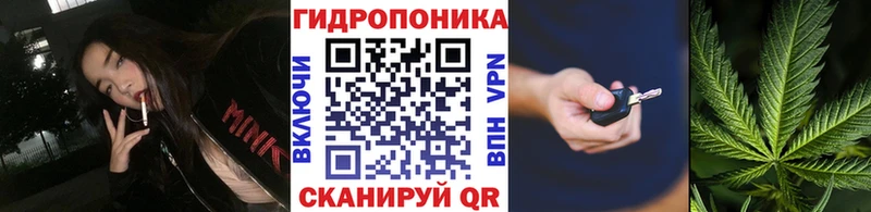 Бошки Шишки сатива Мосальск